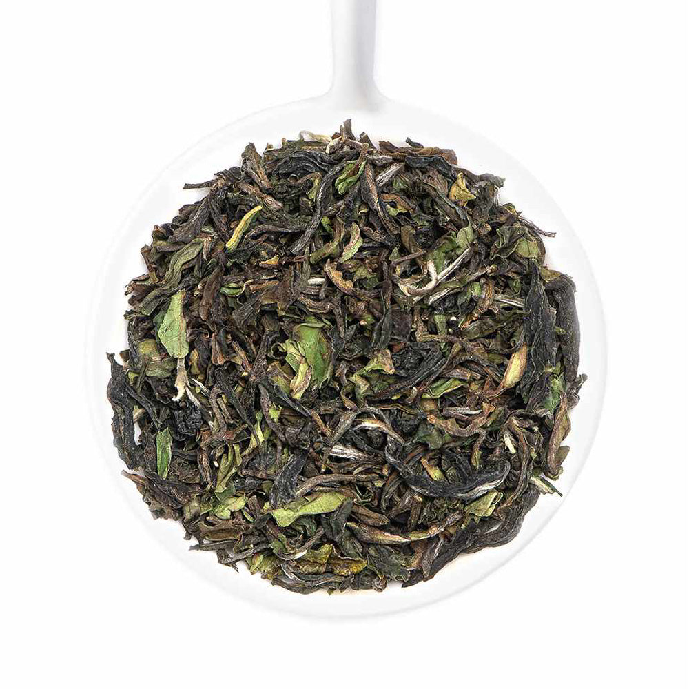 2024 Giddapahar Premium Darjeeling First Flush Black Tea DJ 13