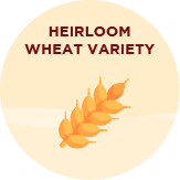 Khapli Wheat Flour Atta - BYOB