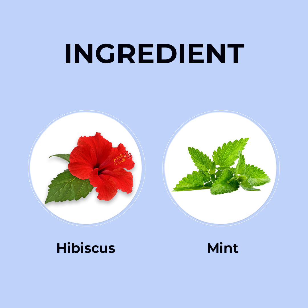 Hibiscus Mint Herbal Infusion - 10 Pyramid Teabags