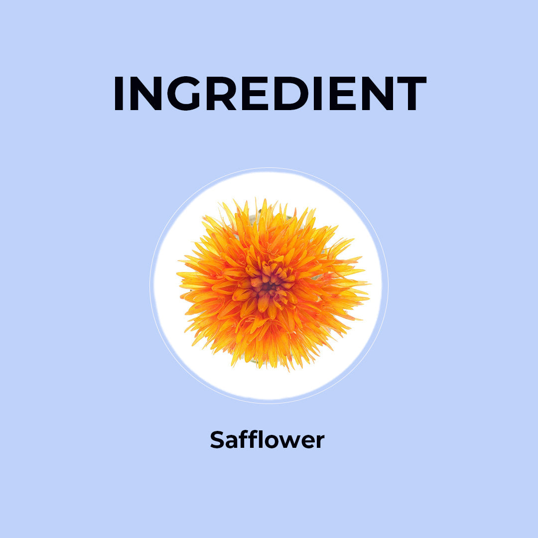 Safflower Herbal Infusion - 20g | Pack of 2