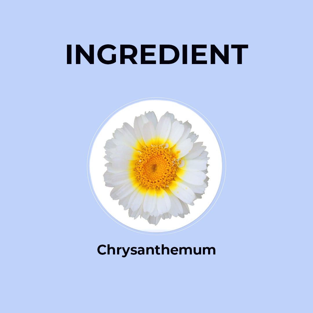 Chrysanthemum Herbal Infusion - 20g | Pack of 2