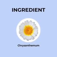 Chrysanthemum Herbal Infusion - 20g | Pack of 2