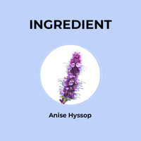 Anise Hyssop Flower Infusion - 20g | Pack of 2