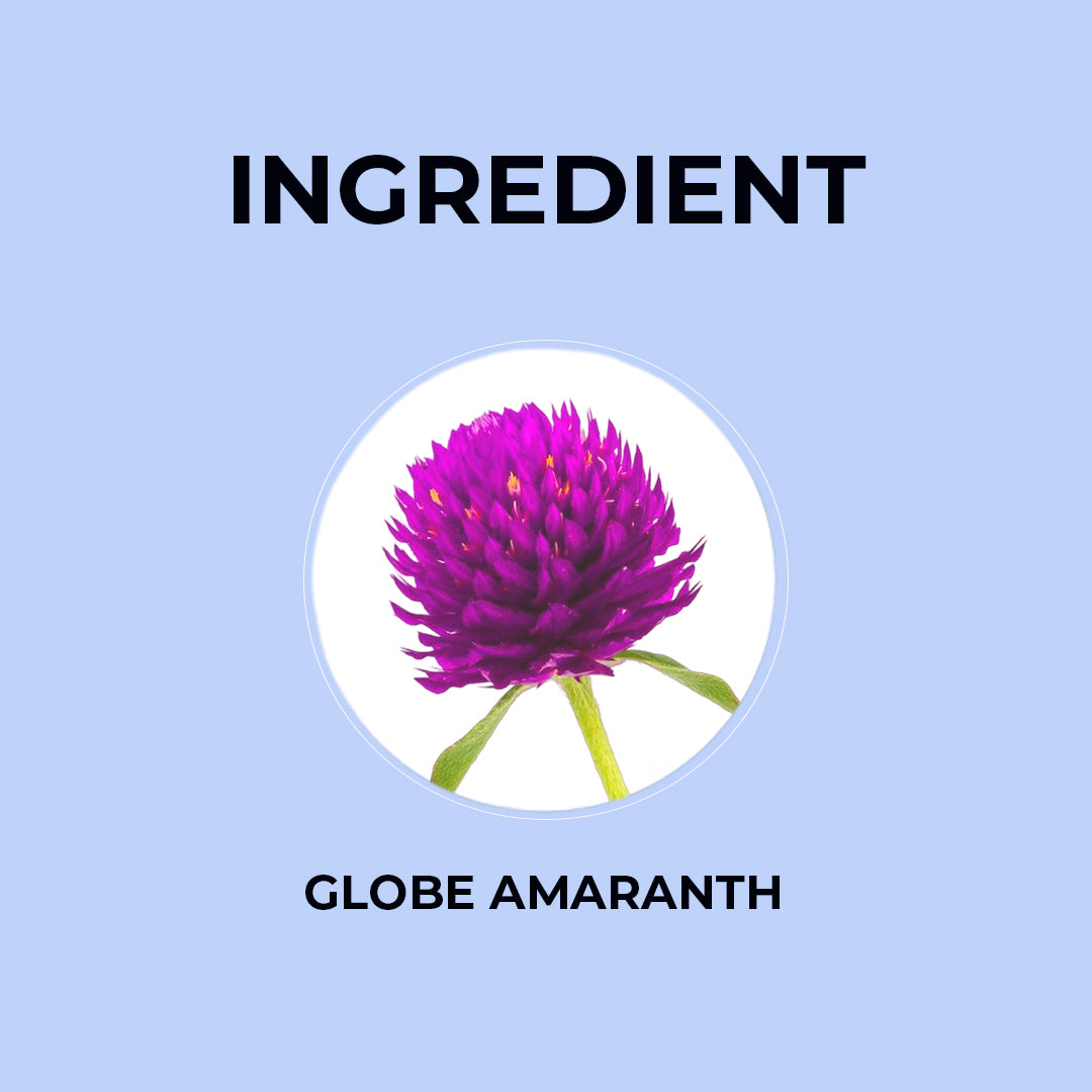 Globe Amaranth Herbal Infusion - 20g | Pack of 2