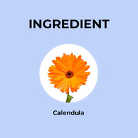 Calendula Herbal Infusion - 20g | Pack of 2