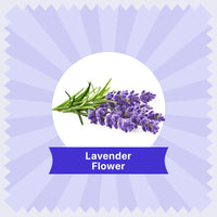 Lavender Herbal Infusion - 30g (30 Cups)