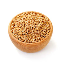 Organic Jave Wheat