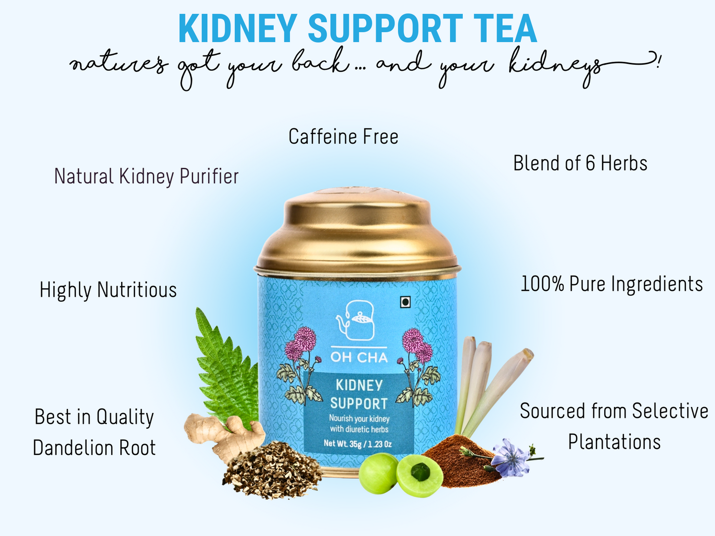 Kidney Support Tea