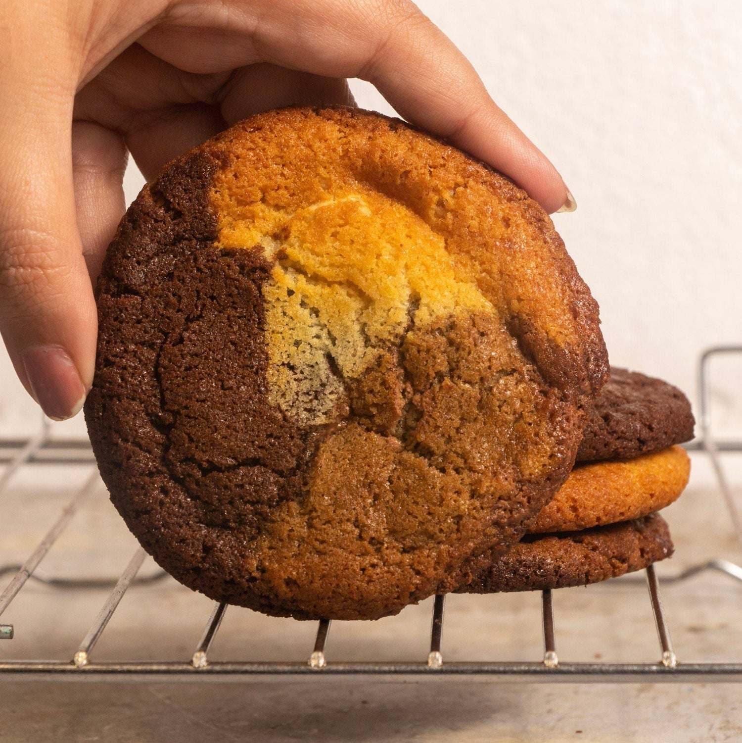 Tri-Chocolate Ombre Cookie