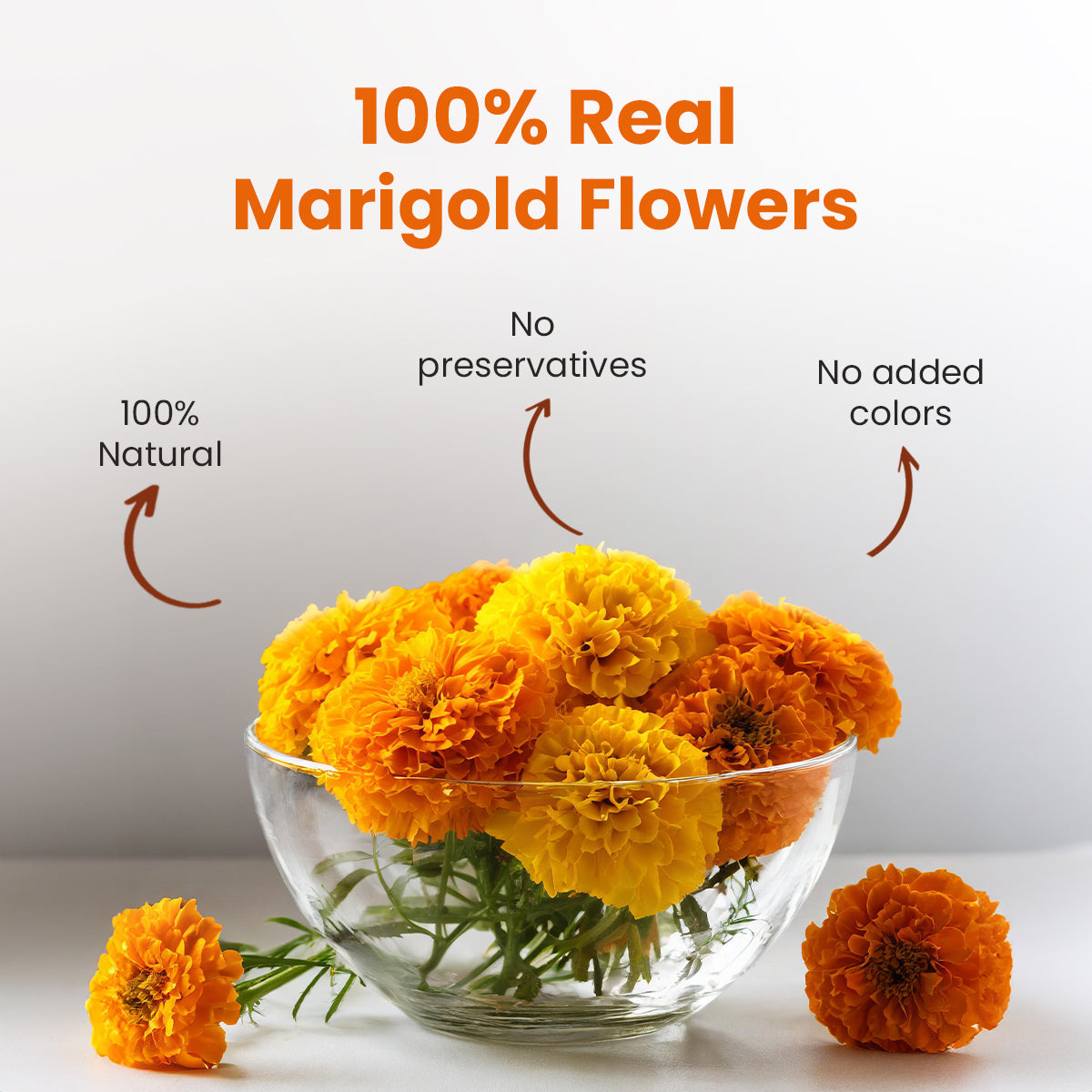 Marigold Herbal Infusion - 25g| Pack of 2