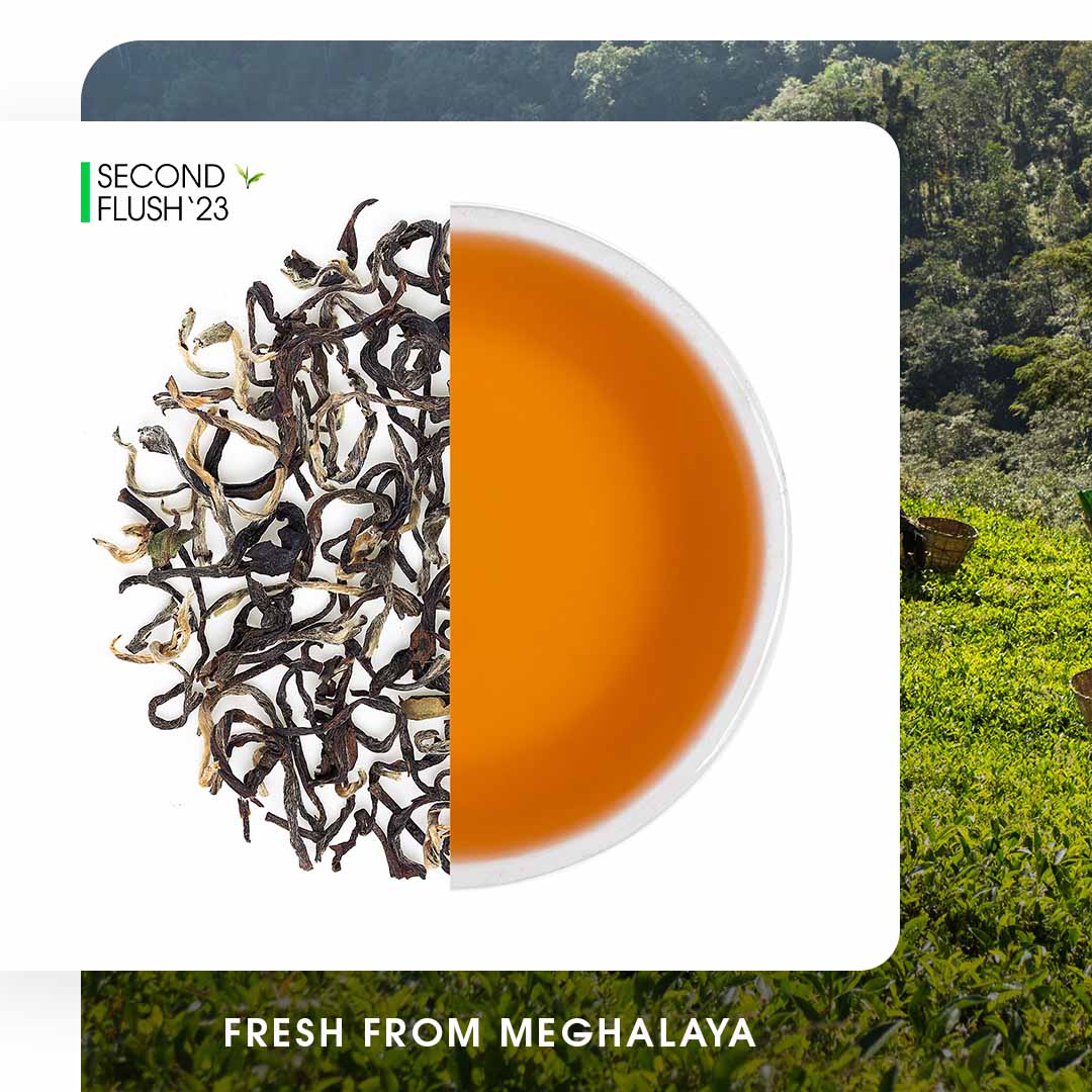 Meghalaya Lakyrsiew Summer Clonal Black