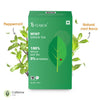 Teabox Mint Green - 100 gms