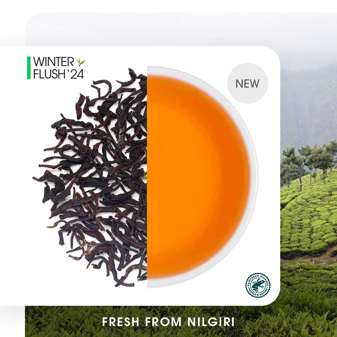 Nilgiri Havukal Winter Frost Black