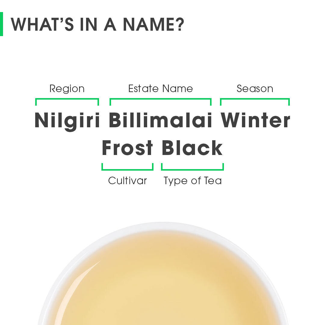 Nilgiri Billimalai Winter Frost Black