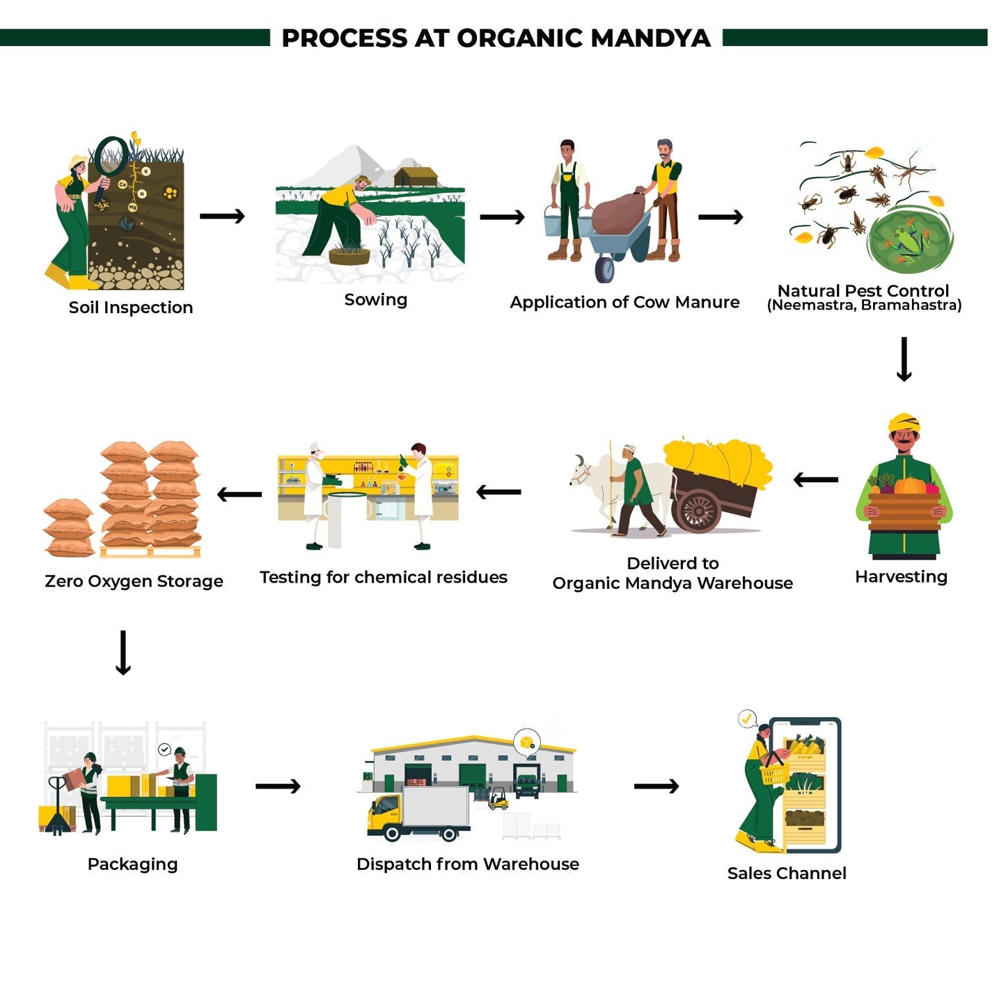 Organic Finger Millet (Ragi)