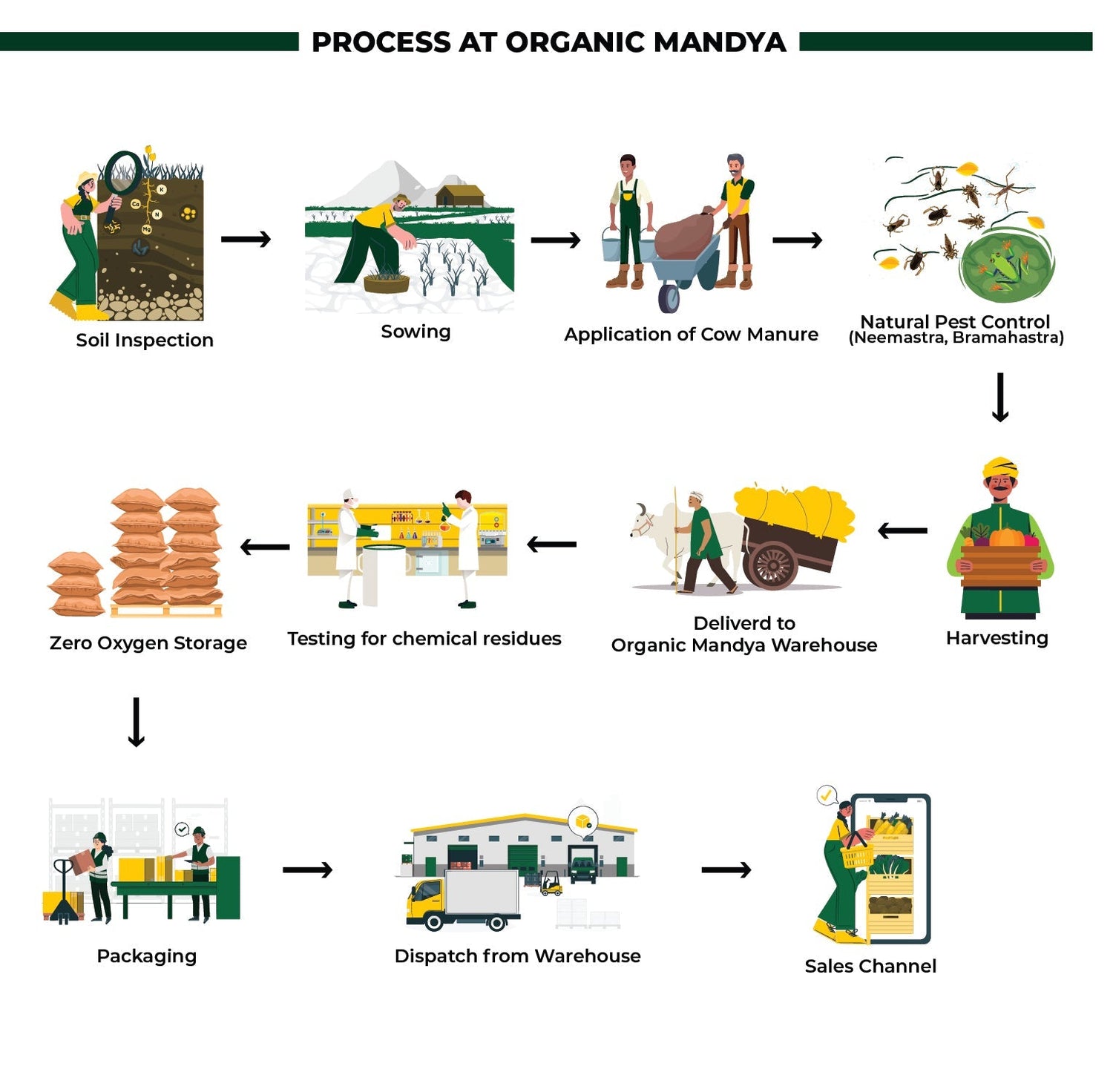 Organic Sorghum