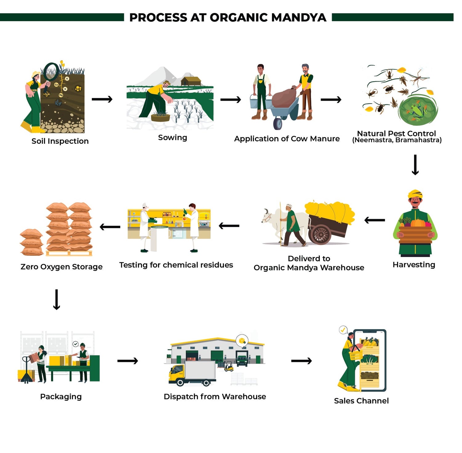 Organic Apricot