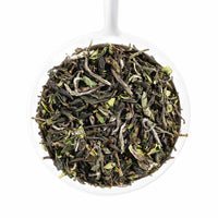 2024 Okayti Premium Darjeeling First Flush Black Tea OKT 11