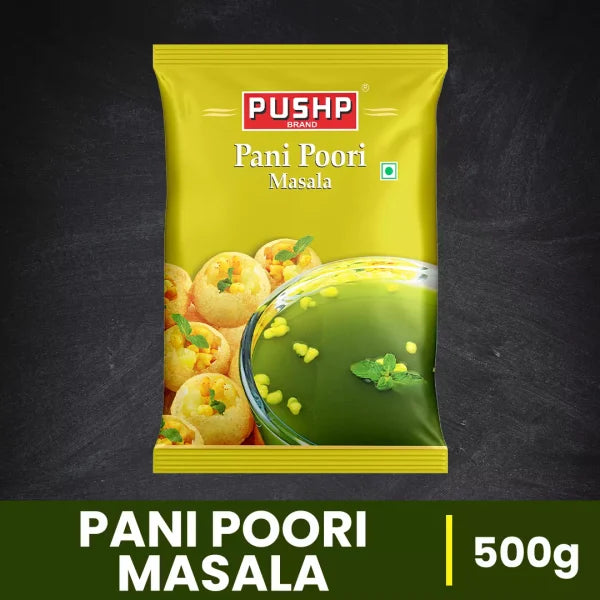 Pani Poori Masala Pouch 500g