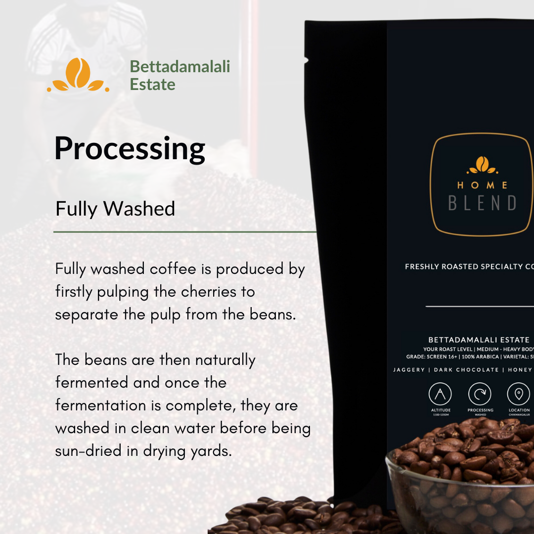 Ground Coffee - Bettadamalali Estate - Pack of 250g