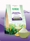 Floryo Natural JackFruit Flour - 250 gms