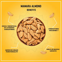 Fresh Wish Dryfruits Mamra Almond (Mamra Badaam)