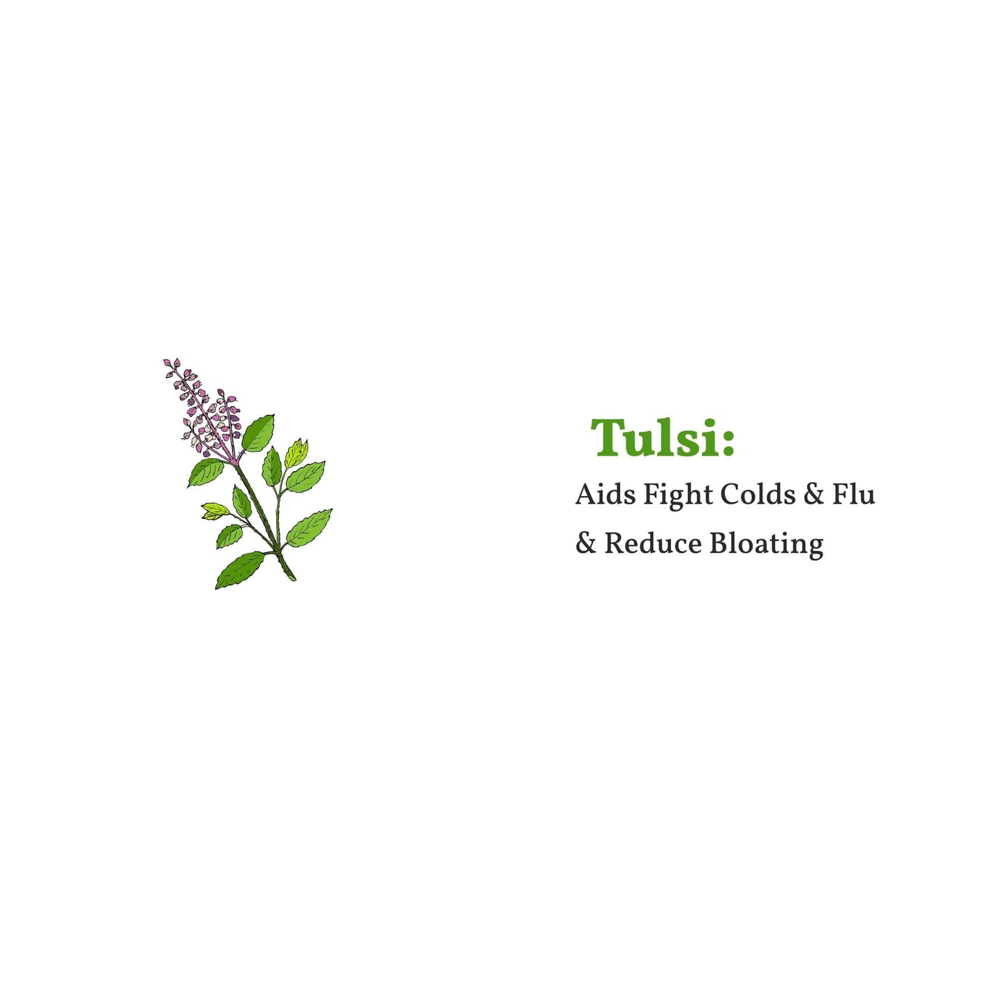 Tulsi Green Tea 