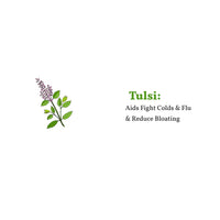 Tulsi Green Tea 