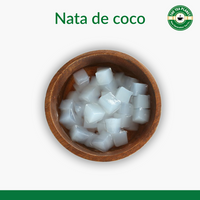 Regular Nata De Coco - 400 gms