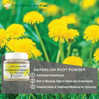 Dandelion Root Powder