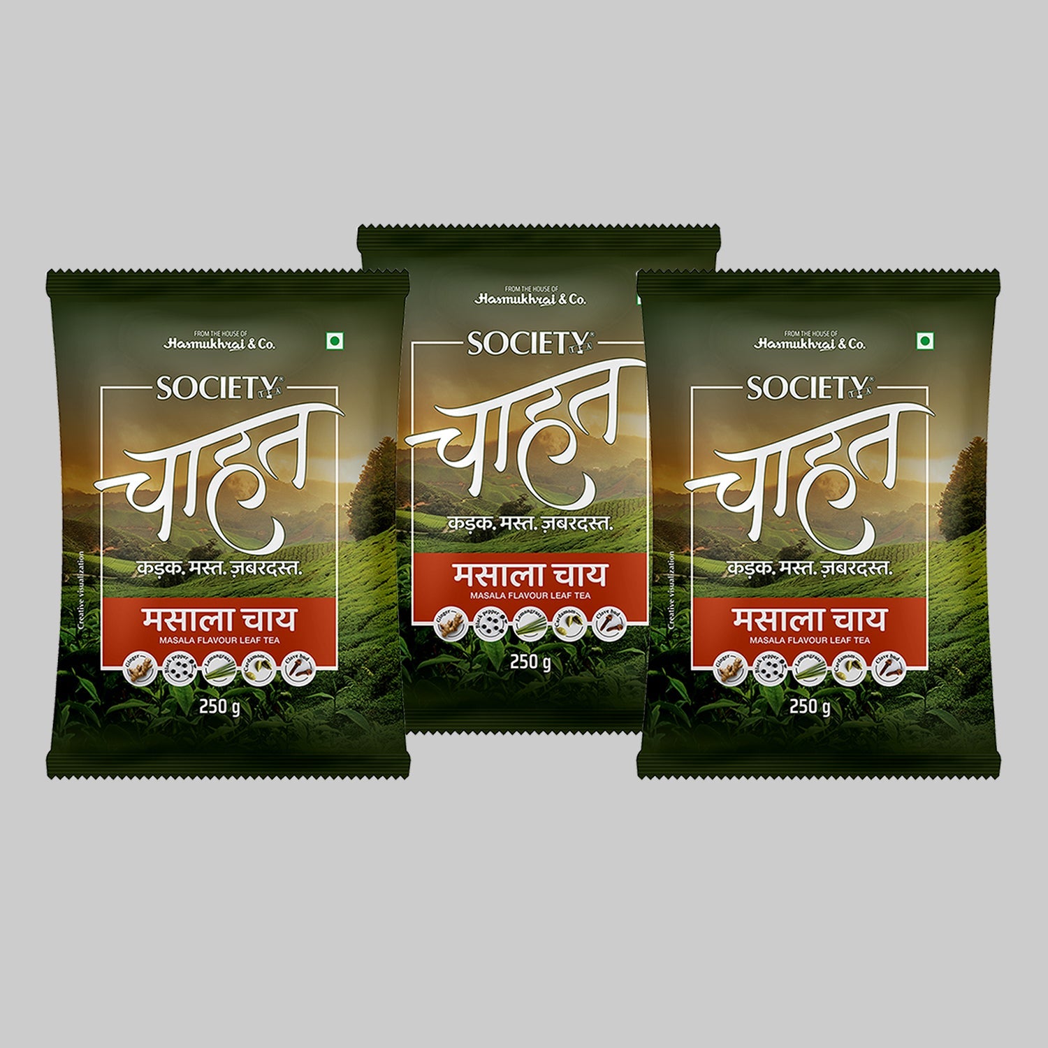 Society Chahat Masala 250 g Pouch