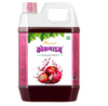 Dhanvi Kokamraj Kokam Syrup Sharbat - 1 Litre