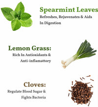 Spearmint Caffeine Free Herbal Tea