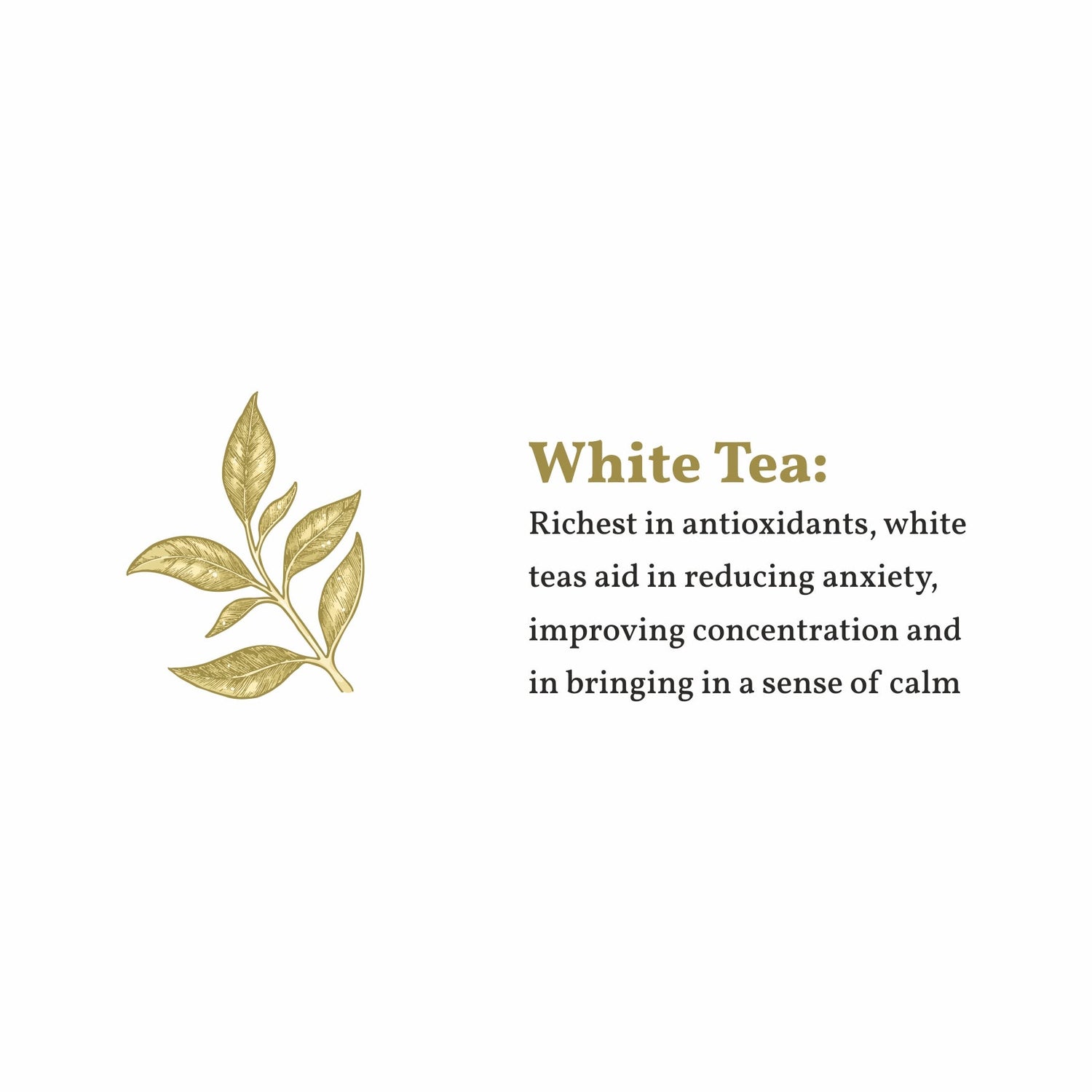 Yellow Gold White Tea (Golden Needles Tea)