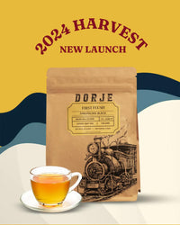 NEW LAUNCH: First Flush Darjeeling Tea | 2024 Harvest