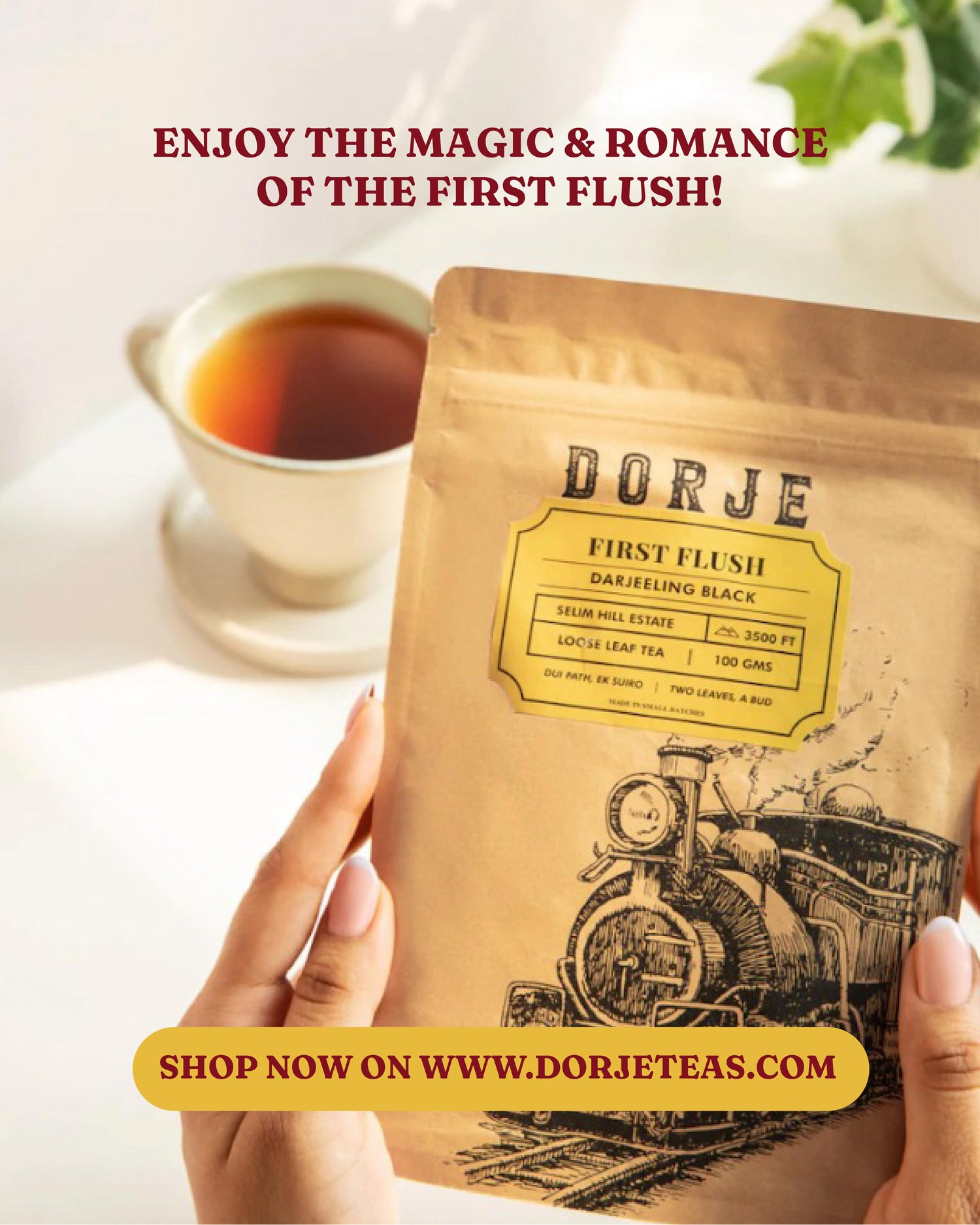 NEW LAUNCH: First Flush Darjeeling Tea | 2024 Harvest