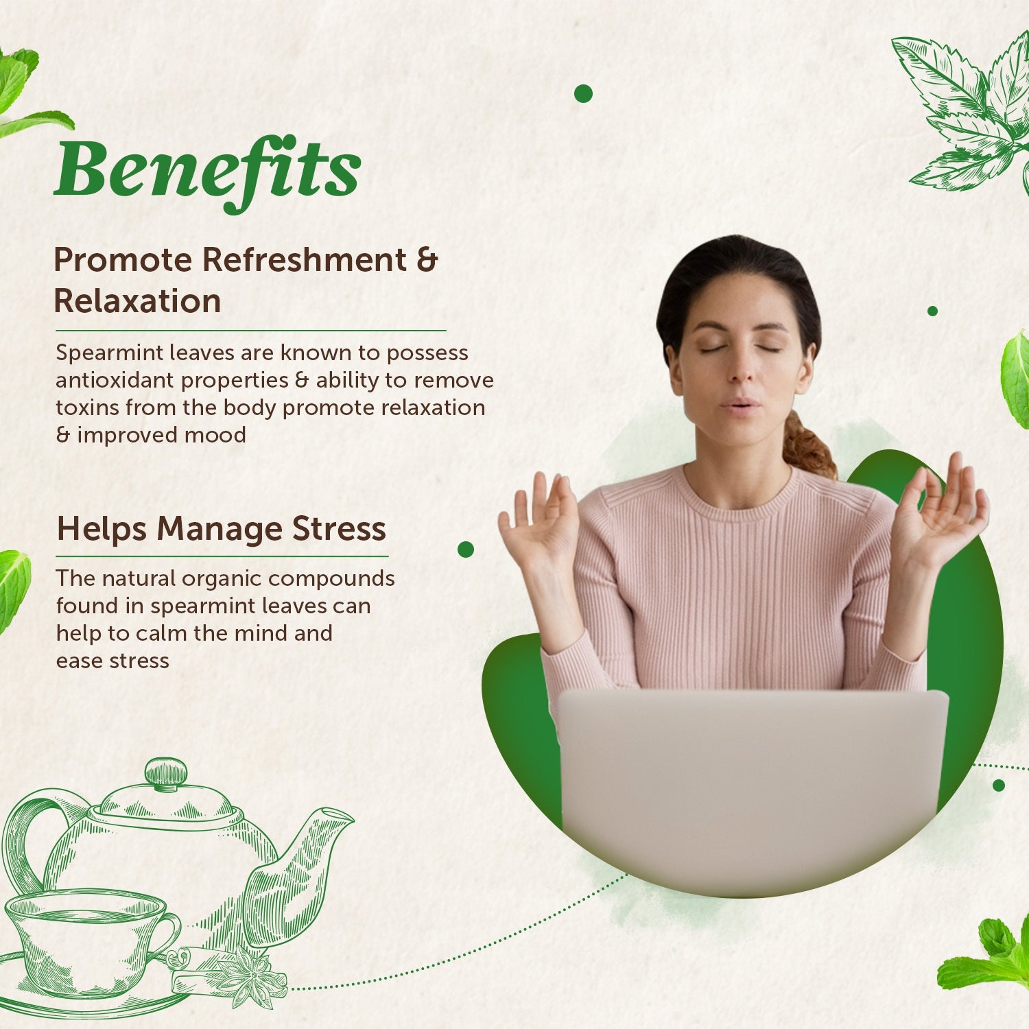 Spearmint Tea Leaves for Refreshment & Stress - 100gm