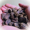 El The Cook Black Cardamom - 100 gms