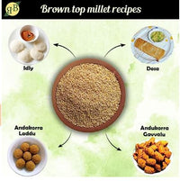 Brown Top Millet (Chotti Kangni/Andu Korralu/Korale)