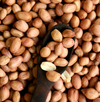 Bio Basics Groundnuts