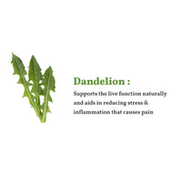 Dandelion Herbal Tea