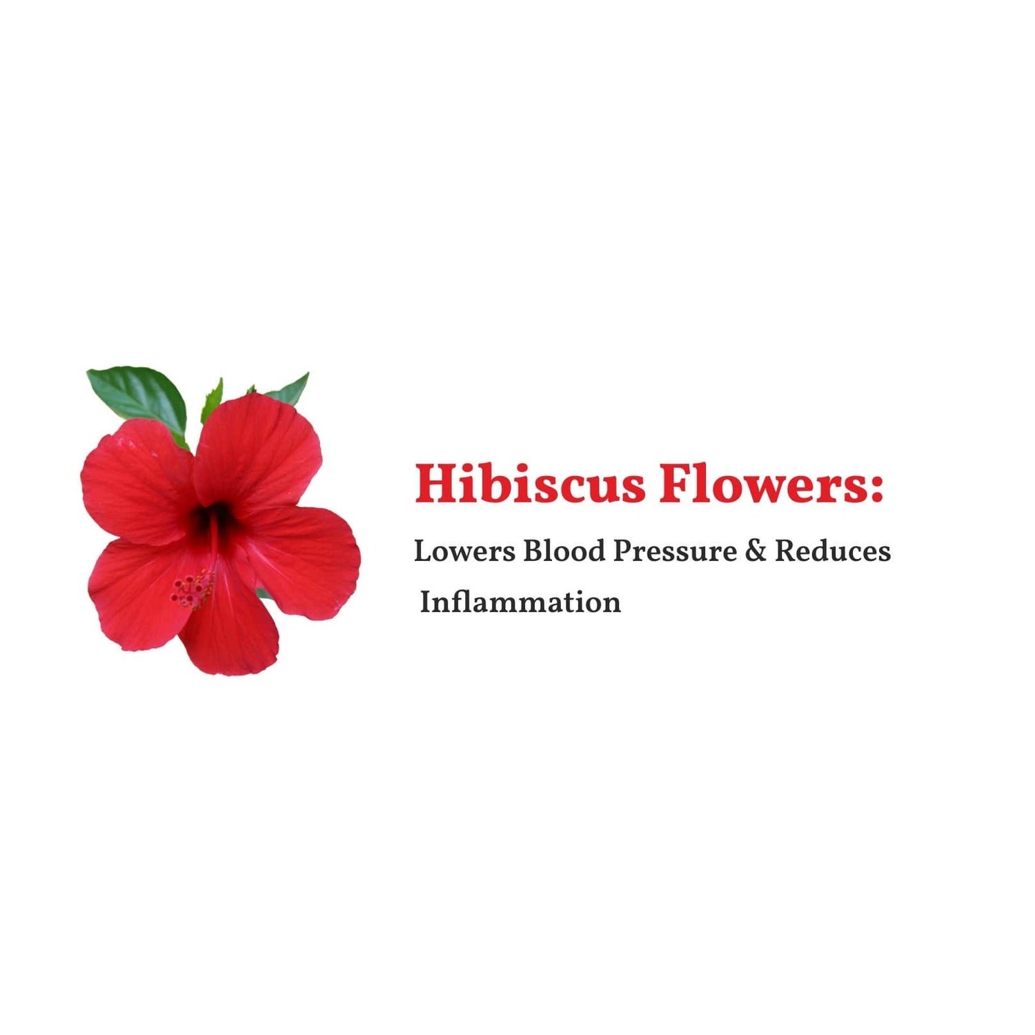 Hibiscus Caffeine Free Herbal Tea