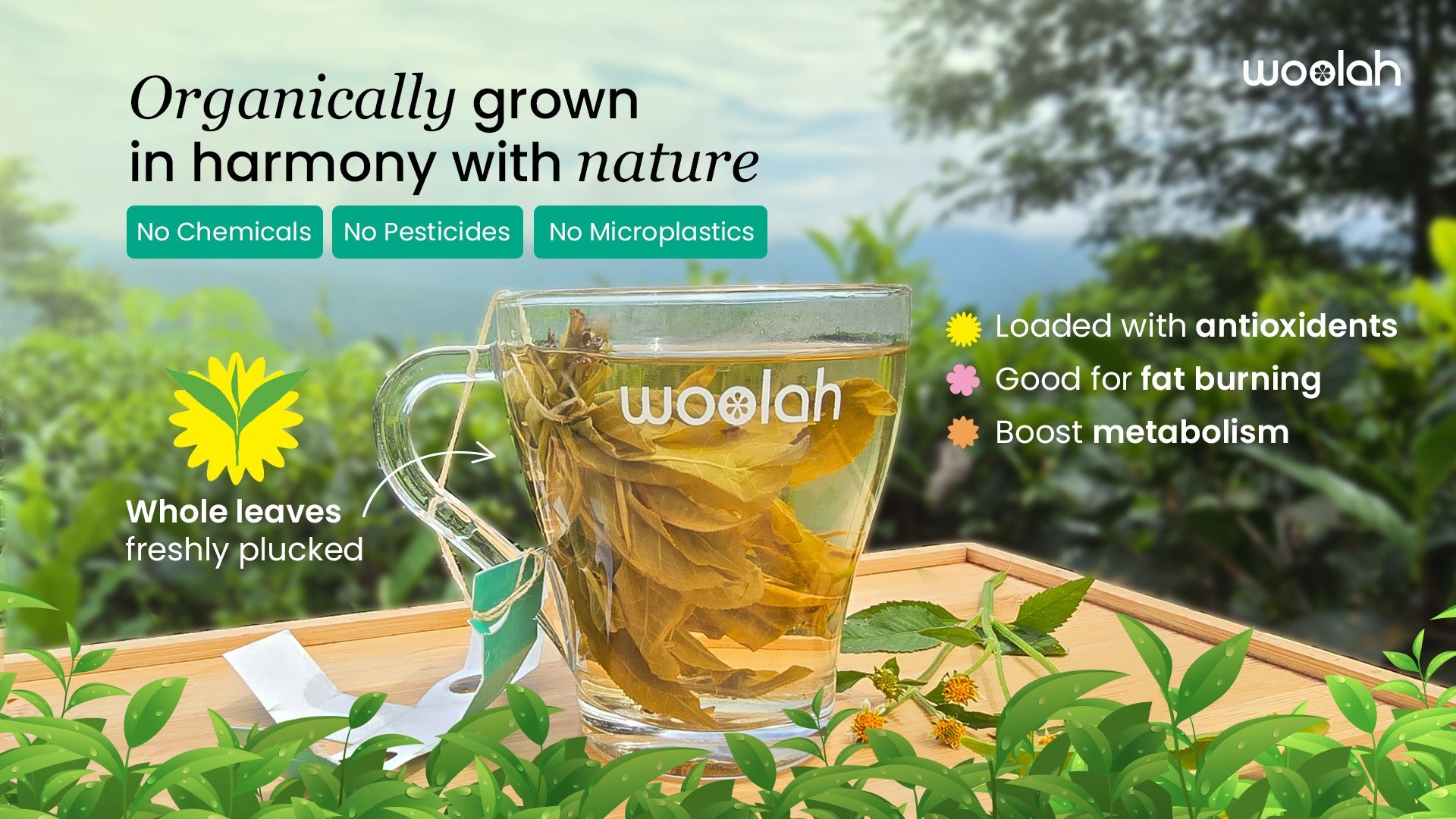 Woolah Bagless Whole Leaf Green Tea with Arjuna & Cinnamon - Veeha Foods