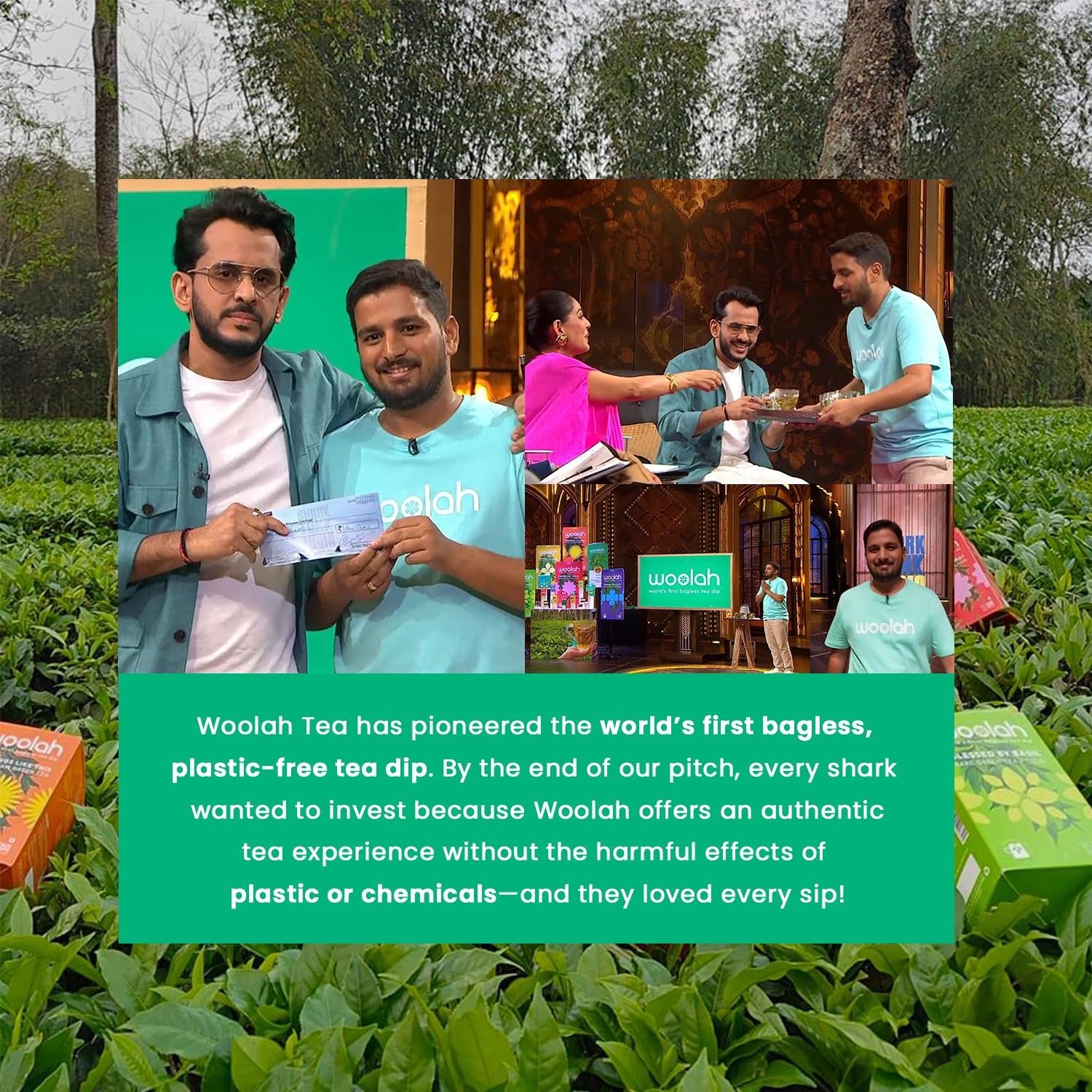 Woolah Rare Assam Green Tea With Tulsi - Veeha Foods