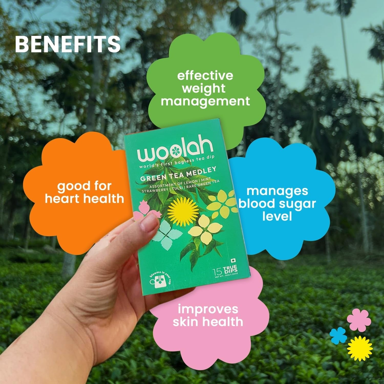 Woolah Green Tea Assortment Pack Organic Bagless Tea Dip - Veeha Foods