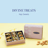 Sri Krishna Sweets Divine Treat