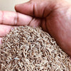 El The Cook Jeera or Cumin Seeds - 100 gms