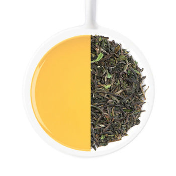 2024 Jungpana Premium Darjeeling First Flush Black Tea DJ 19