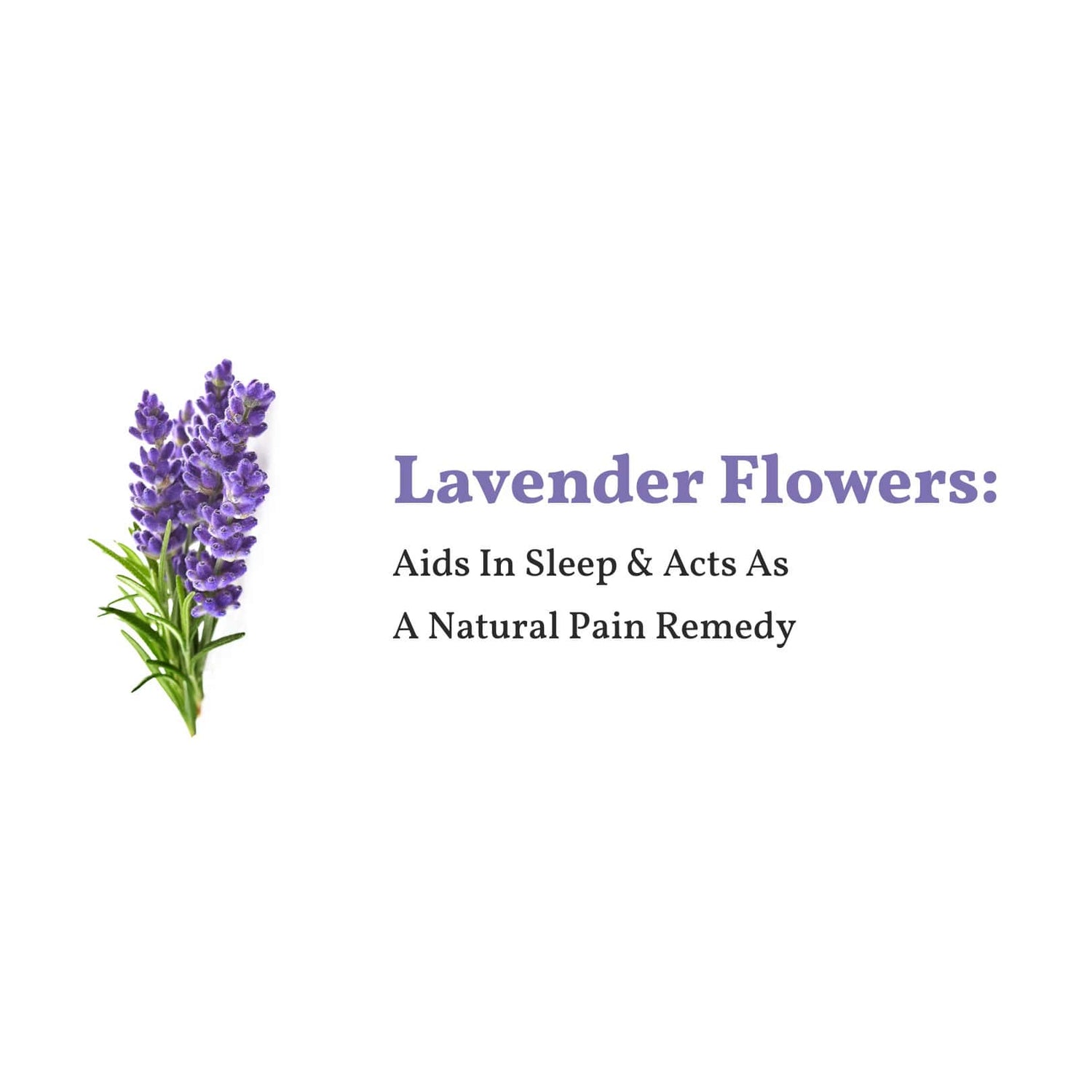 Lavender Caffeine Free Herbal Tea