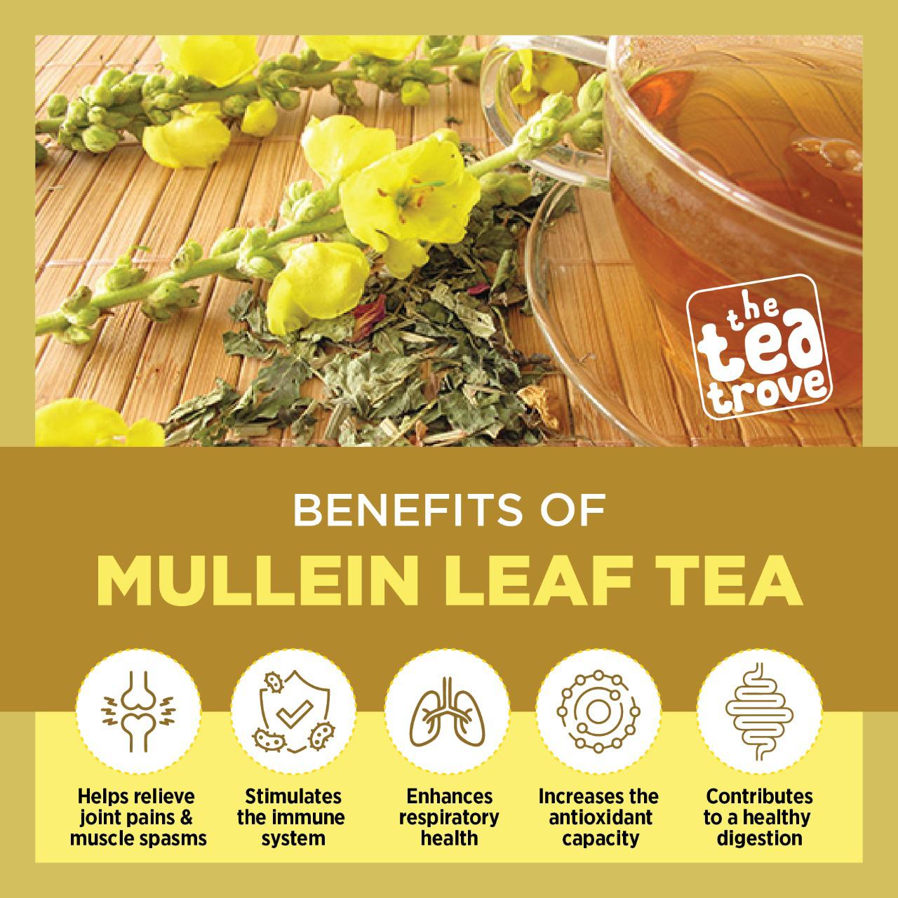 Mullein LEAF Tea (50 g)